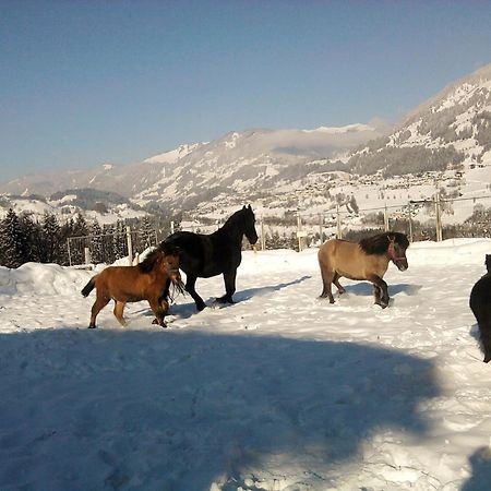 Weidinghof Apartment Sankt Veit im Pongau Bagian luar foto