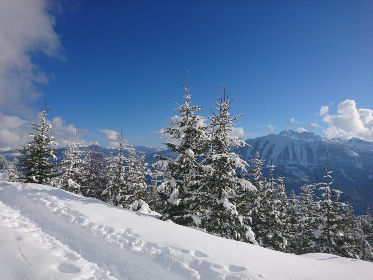Weidinghof Apartment Sankt Veit im Pongau Bagian luar foto