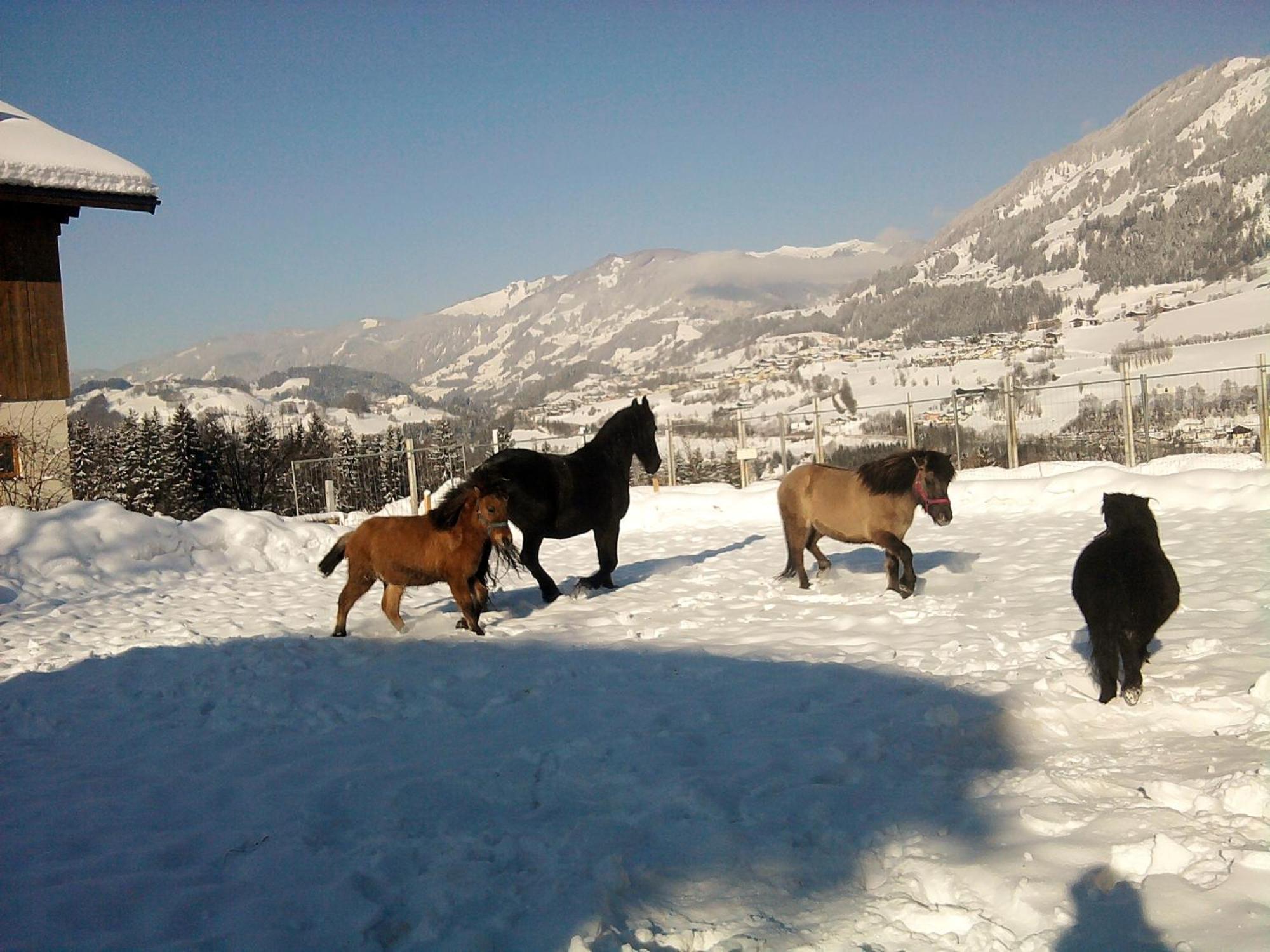 Weidinghof Apartment Sankt Veit im Pongau Bagian luar foto